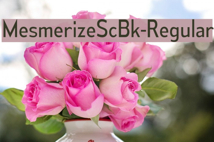 MesmerizeScBk-Regular Font examples