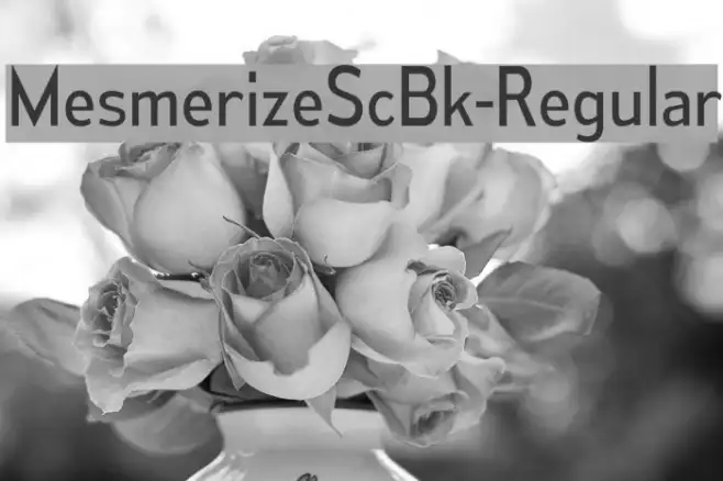 MesmerizeScBk-Regular Example 1