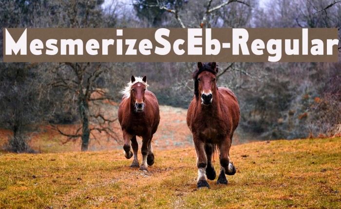 MesmerizeScEb-Regular Example 1