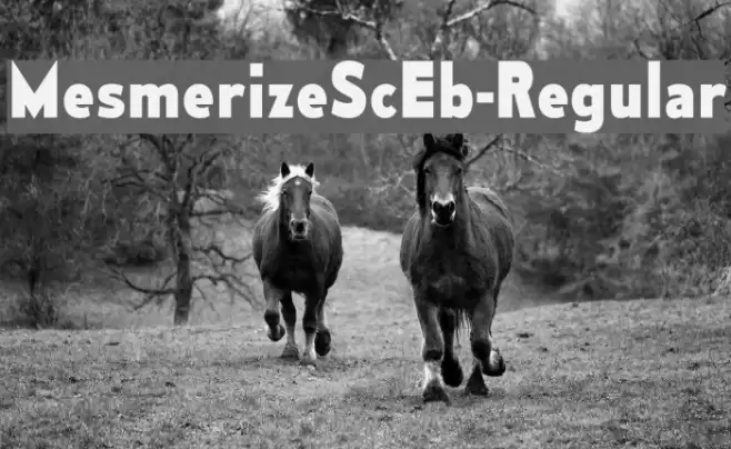 MesmerizeScEb-Regular Font examples