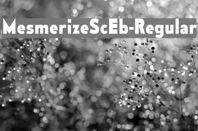 MesmerizeScEb-Regular Font examples