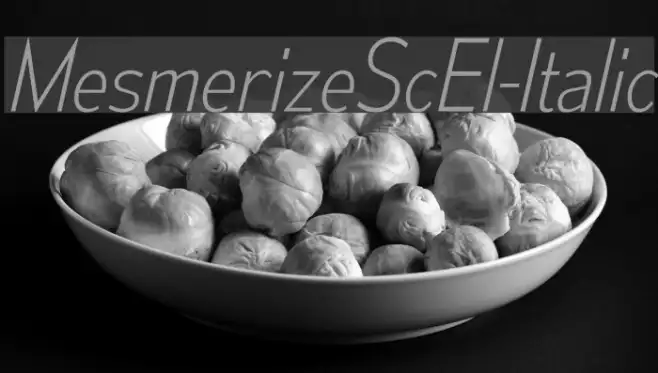 MesmerizeScEl-Italic Example 1