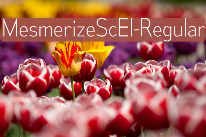 MesmerizeScEl-Regular Font examples