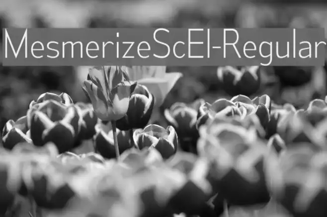 MesmerizeScEl-Regular Example 1