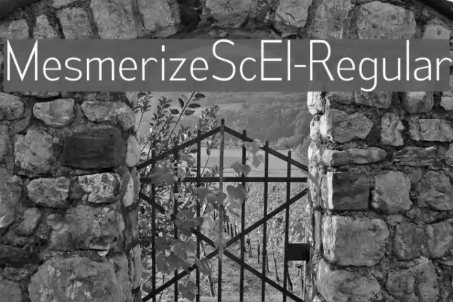 MesmerizeScEl-Regular Example 2