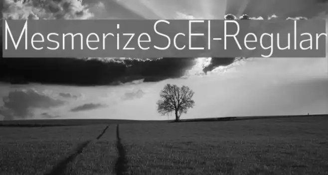 MesmerizeScEl-Regular Example 3