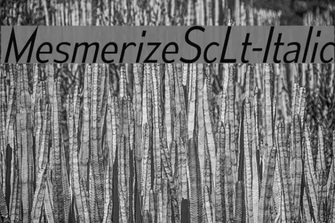 MesmerizeScLt-Italic Font examples