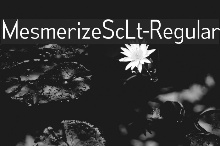 MesmerizeScLt-Regular Font examples