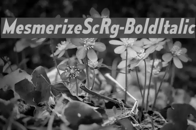 MesmerizeScRg-BoldItalic Font examples