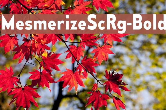 MesmerizeScRg-Bold Font examples
