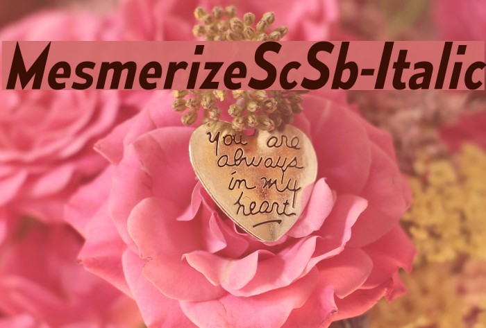 MesmerizeScSb-Italic Font examples