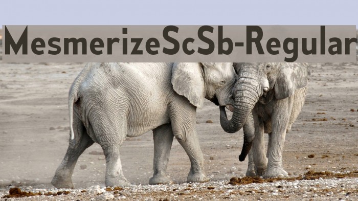 MesmerizeScSb-Regular Font examples