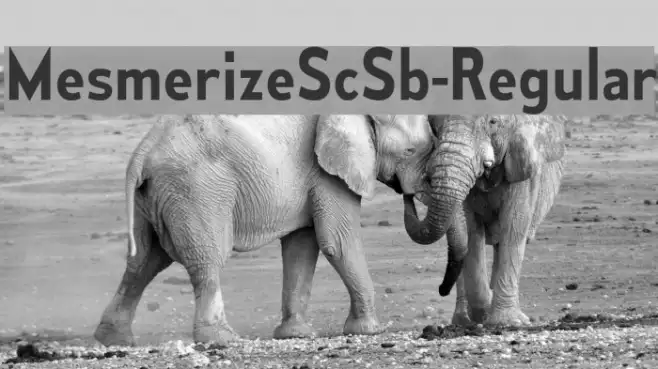 MesmerizeScSb-Regular Example 1