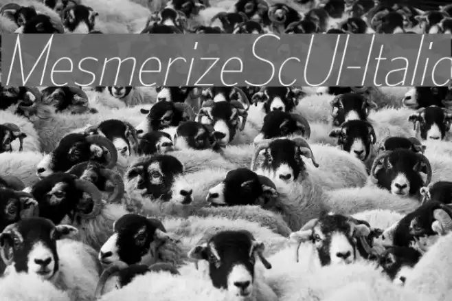 MesmerizeScUl-Italic Font examples