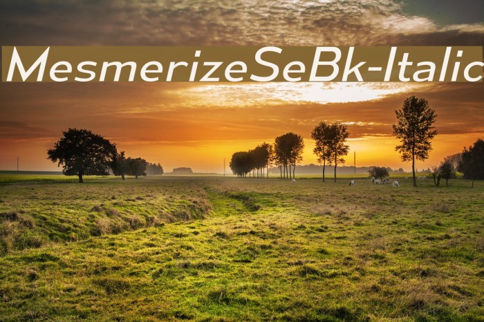 MesmerizeSeBk-Italic Font examples