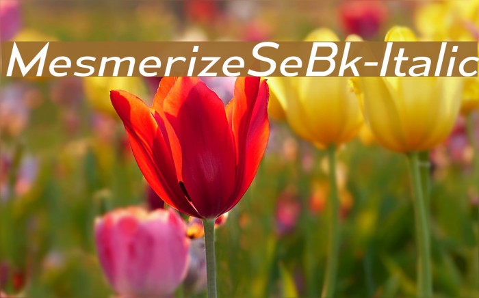 MesmerizeSeBk-Italic Font examples