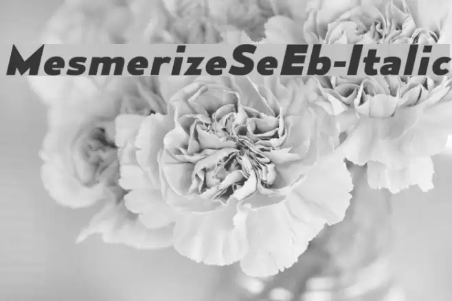 MesmerizeSeEb-Italic Fonte examples