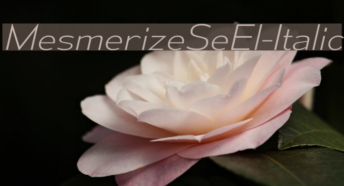 MesmerizeSeEl-Italic Font examples