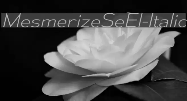 MesmerizeSeEl-Italic Fonte examples
