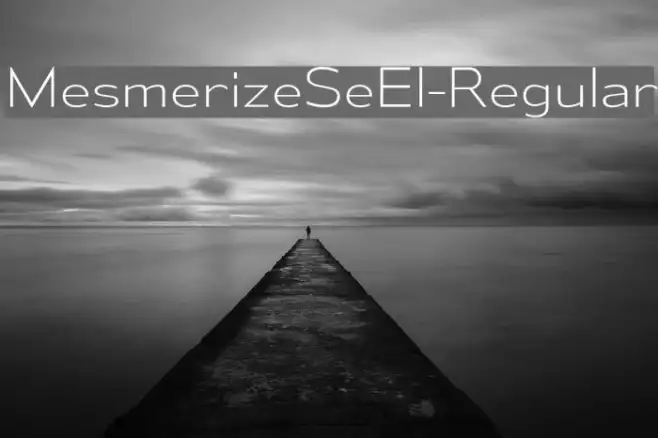 MesmerizeSeEl-Regular Example 2