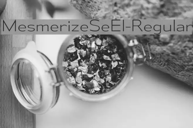 MesmerizeSeEl-Regular Example 3