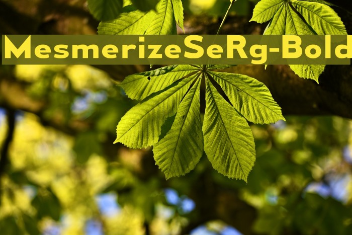 MesmerizeSeRg-Bold Font examples