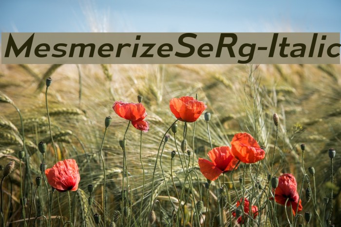 MesmerizeSeRg-Italic Font examples