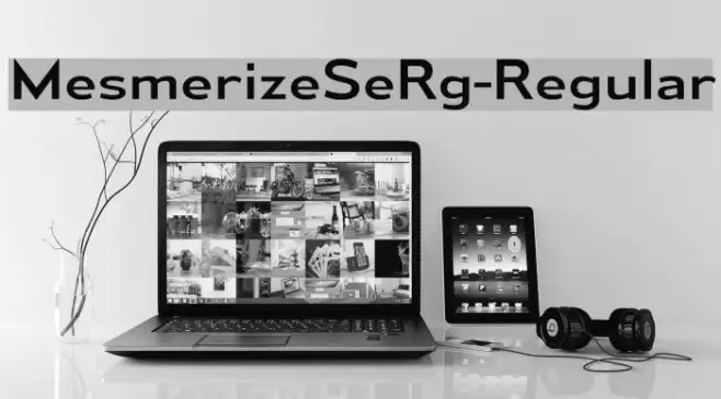 MesmerizeSeRg-Regular Example 1