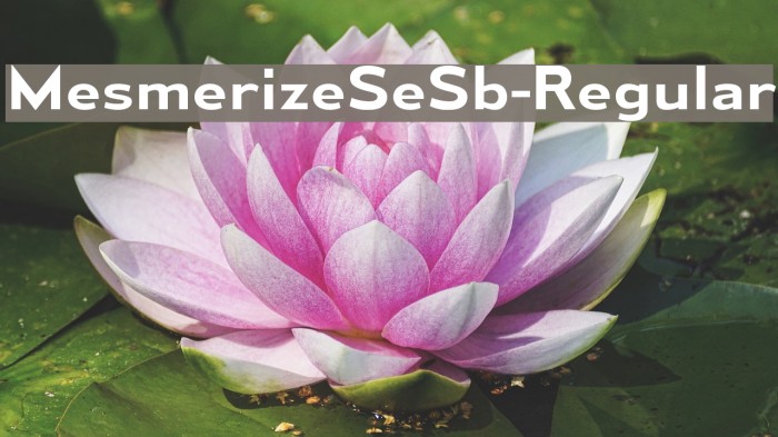 MesmerizeSeSb-Regular Example 1