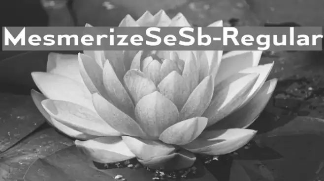 MesmerizeSeSb-Regular Font examples
