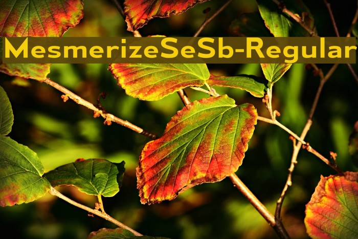 MesmerizeSeSb-Regular Example 2