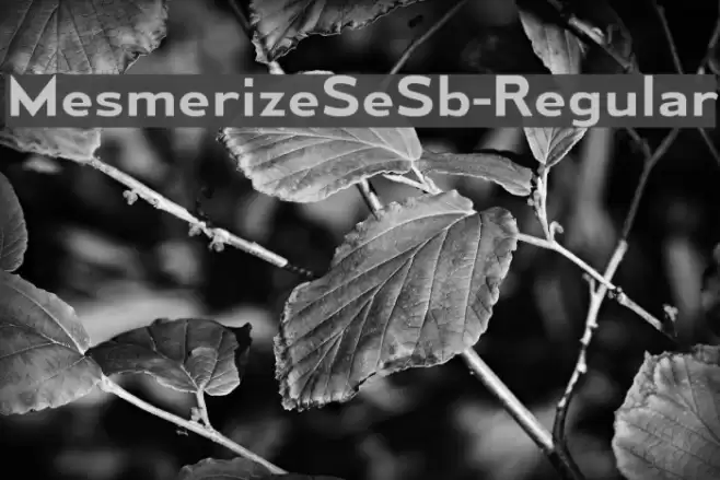 MesmerizeSeSb-Regular Font examples