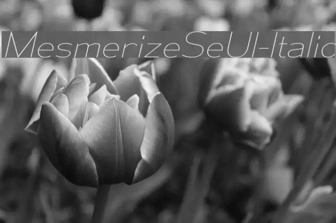 MesmerizeSeUl-Italic Example 1