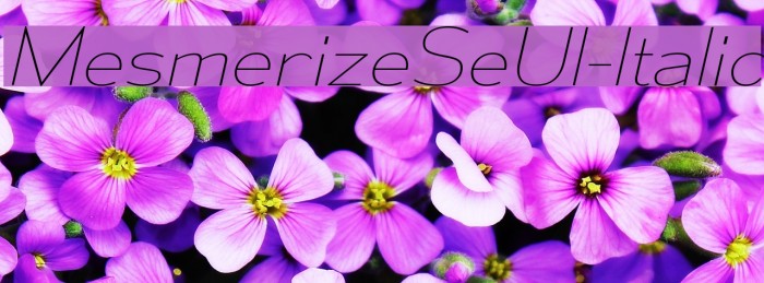MesmerizeSeUl-Italic Font examples