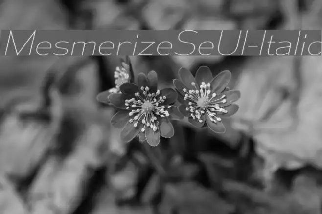 MesmerizeSeUl-Italic Example 3