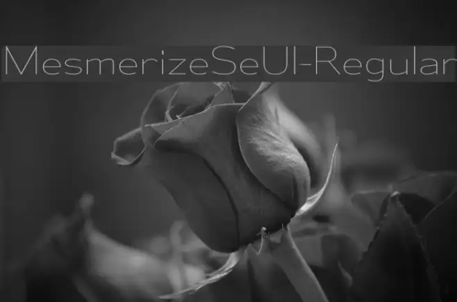 MesmerizeSeUl-Regular Example 3