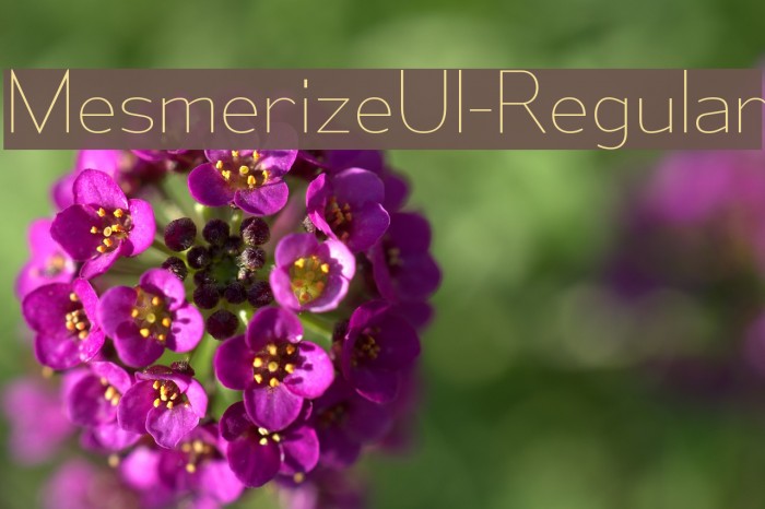 MesmerizeUl-Regular Font examples