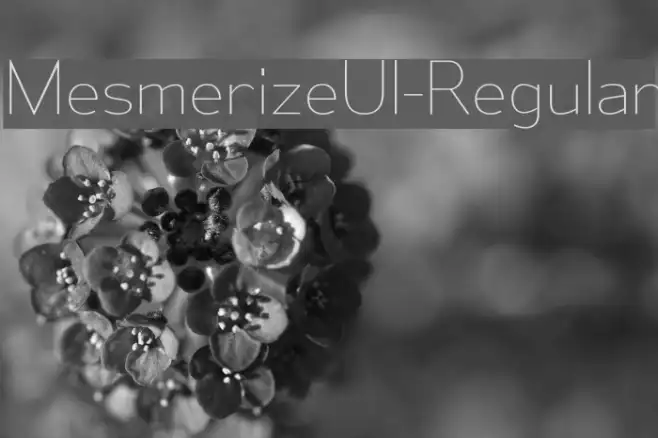 MesmerizeUl-Regular Example 2
