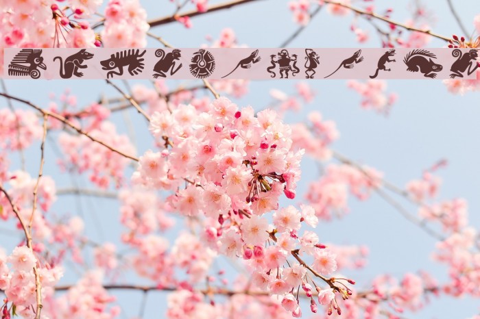 MesoFaunaTwo Example 1