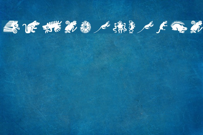 MesoFaunaTwo Example 3