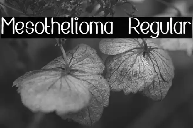 Mesothelioma  Regular Font examples