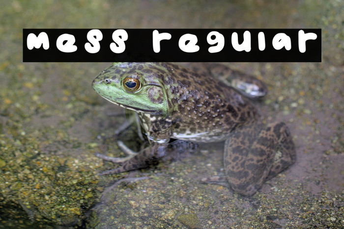 Mess Regular Example 1