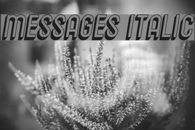 Messages Italic Font examples