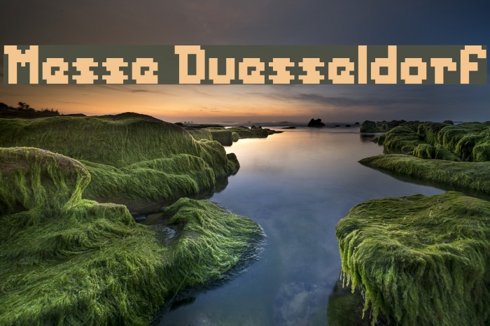 Messe Duesseldorf Font examples
