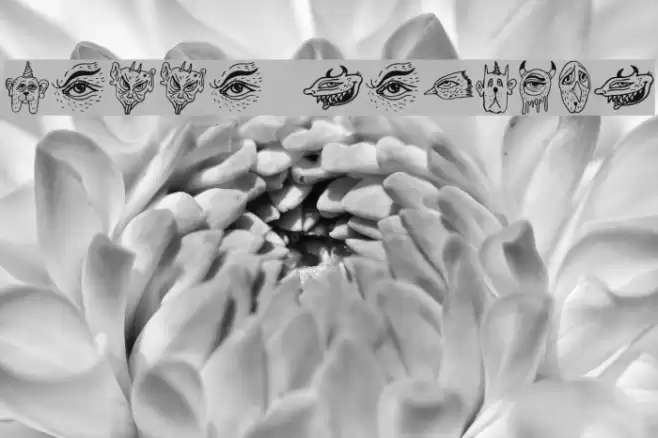 Messe Regular Font examples