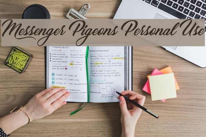 Messenger pigeons personal font free download windows 10