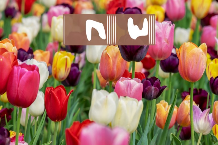 MessierWrits Example 3