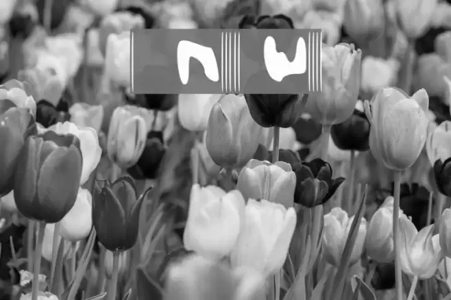 MessierWrits Font examples