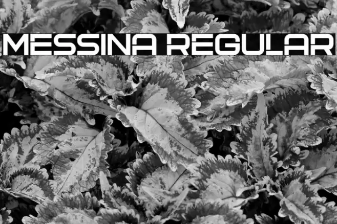 Messina Regular Font examples