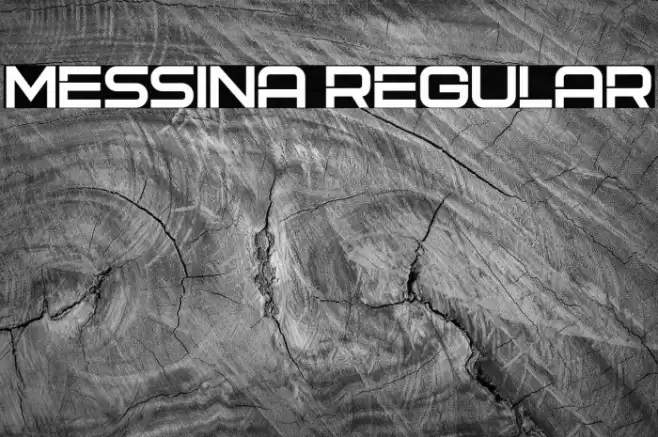 Messina Regular Font examples